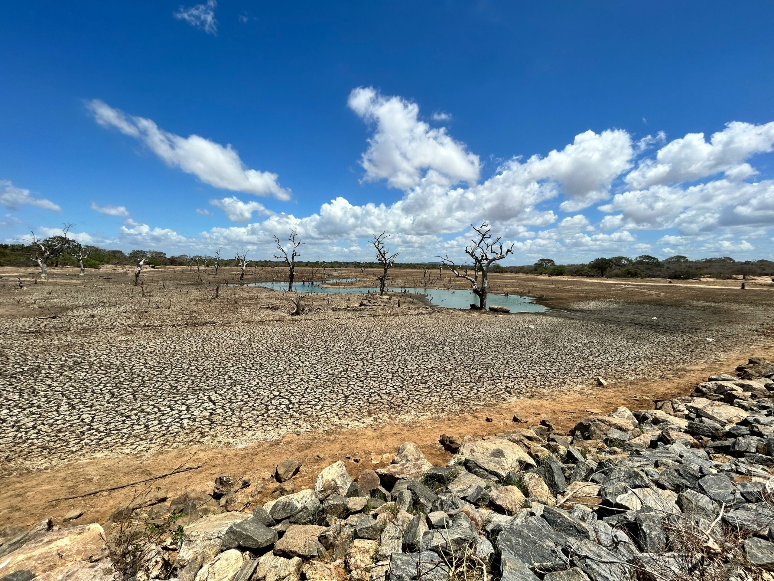  Innovative Solutions to Water Scarcity in Tanzanian Communities