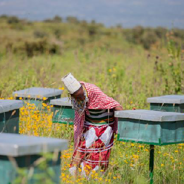 The Asali Project: Blending Tradition with Economic Empowerment in Tanzania