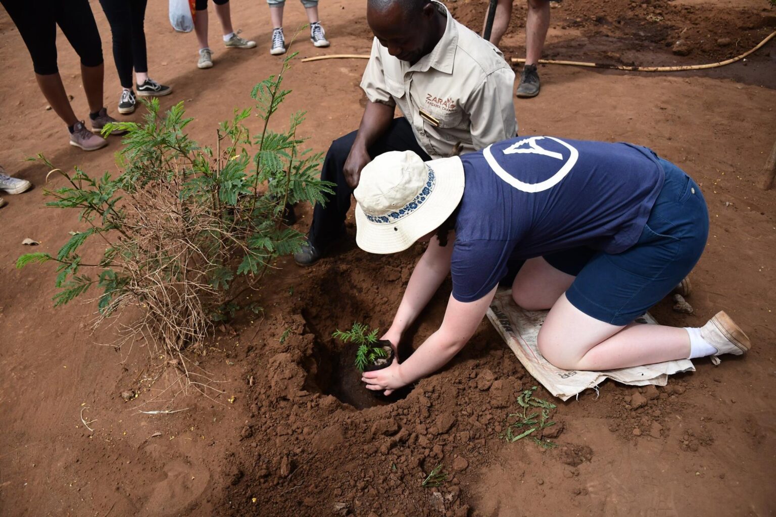Addressing Climate Change: Zara Charity’s Tree Planting Initiatives.
